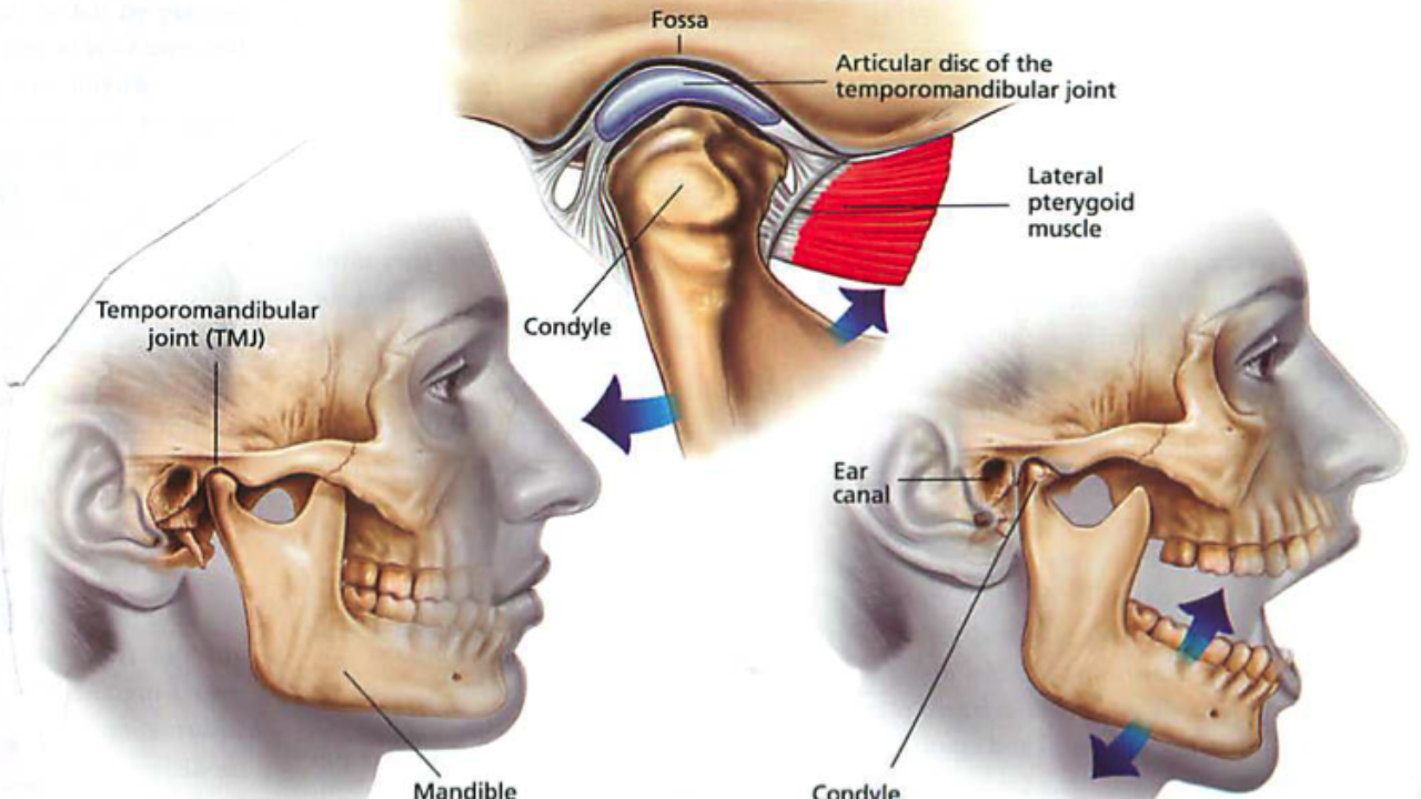 TMJ Disorders : Physical Therapy of Milwaukee
